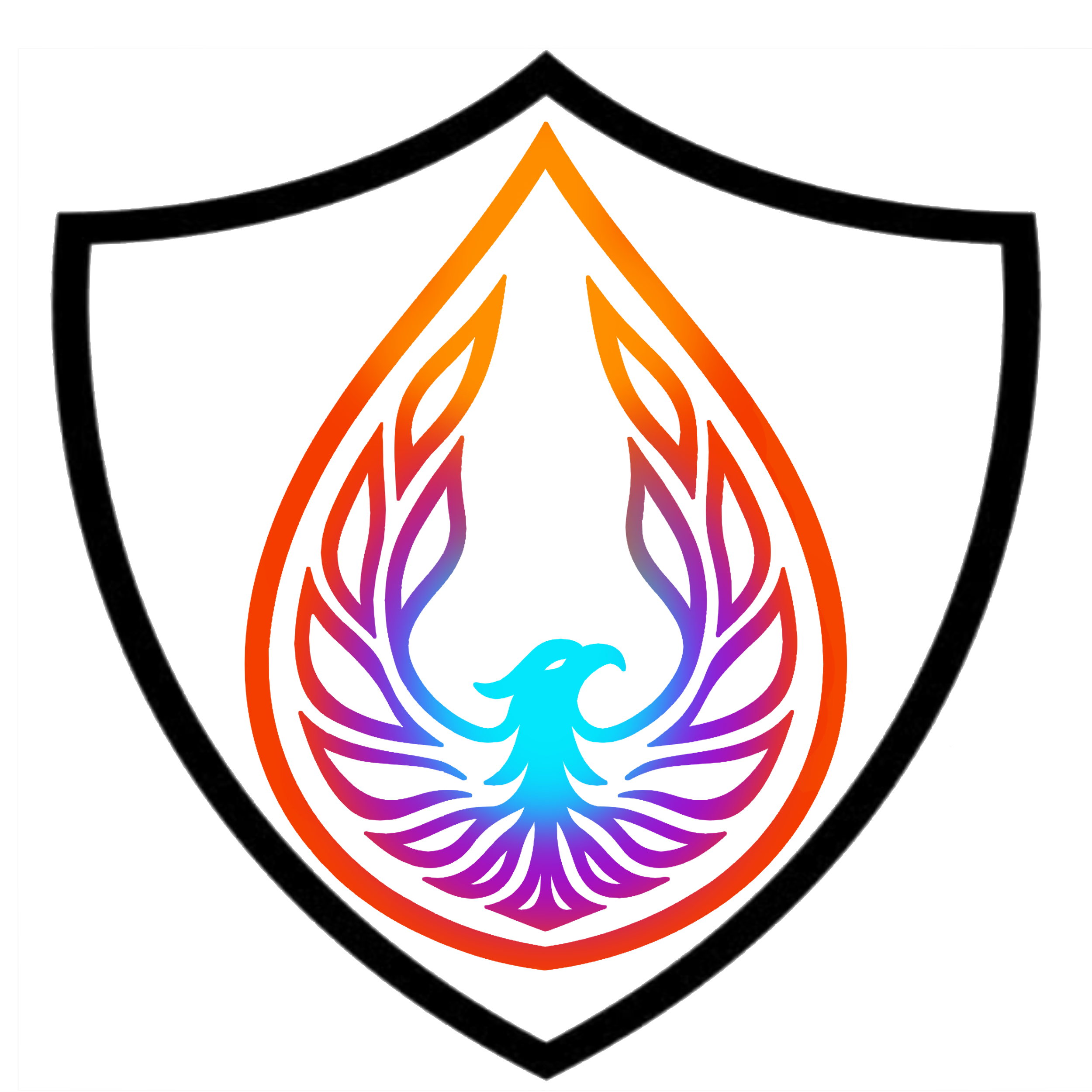 Phoenix Care Plan 12 month